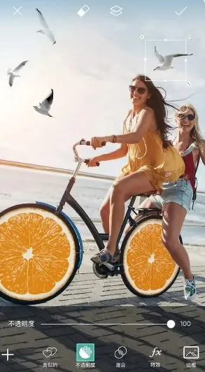 Picsart美易 v29.7.9高级版